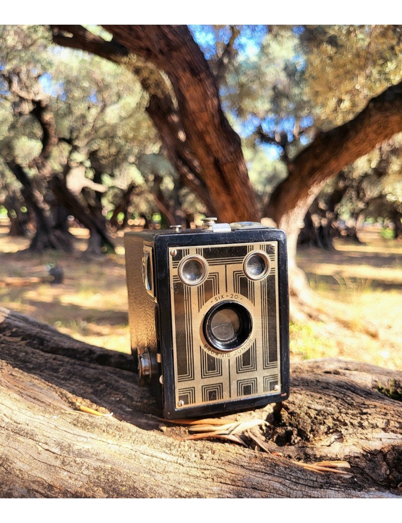 Appareils photos vintage