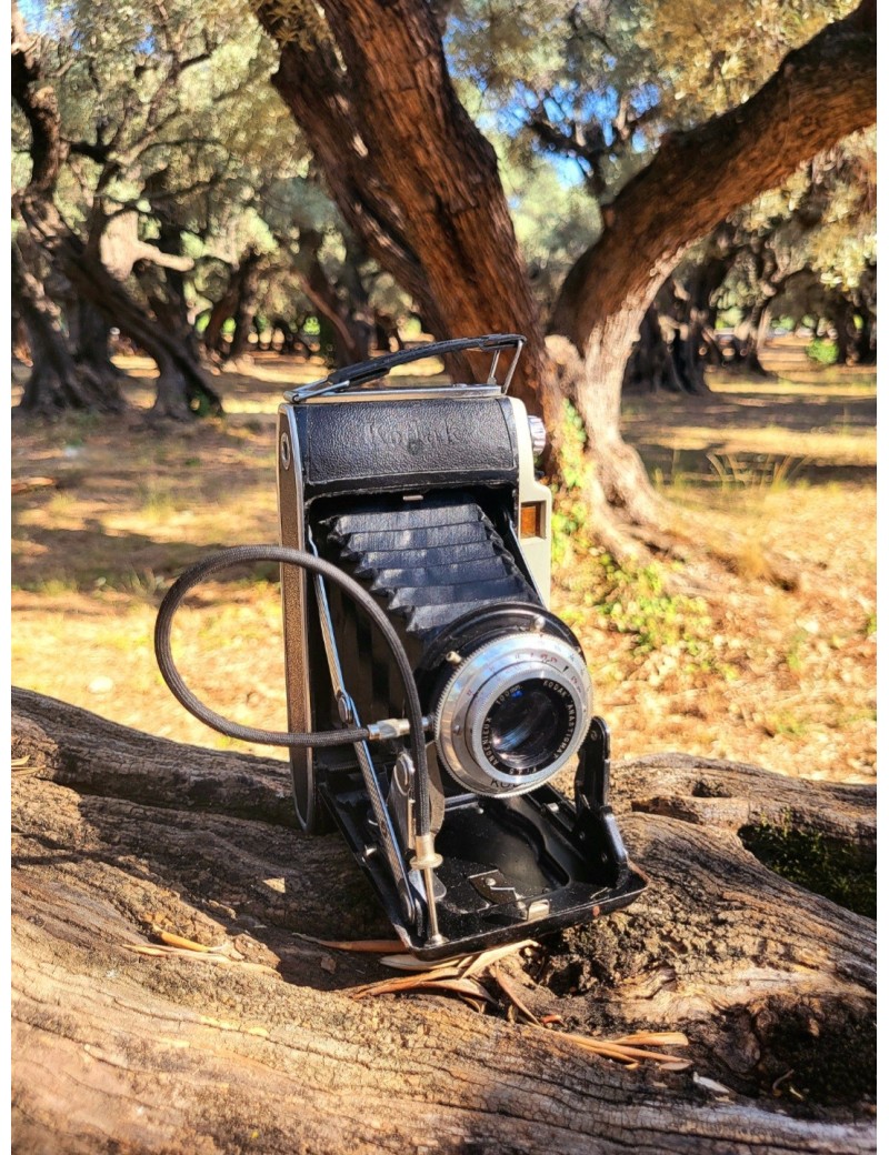 Appareils photos vintage