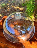 Cloche à gateau en verre