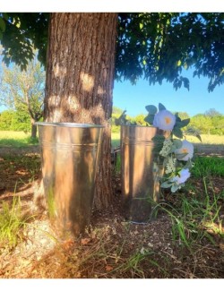 Lot de 2 grands pots en fer