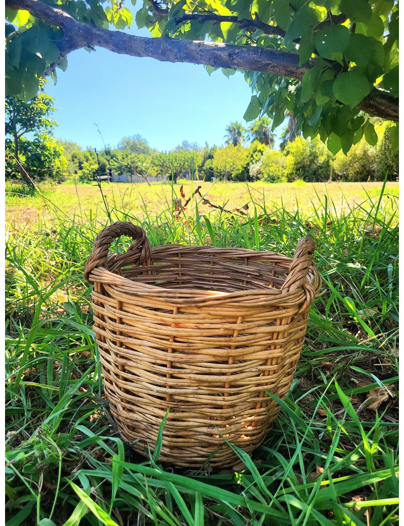 Petit panier en osier