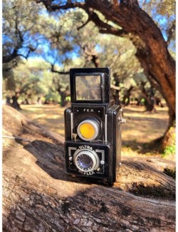 Appareils photos vintage