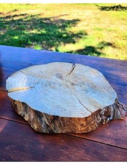 Lot de 10 rondins de bois