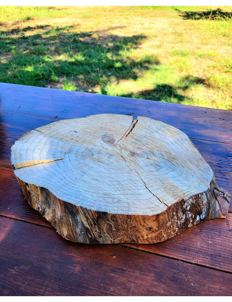 Lot de 10 rondins de bois